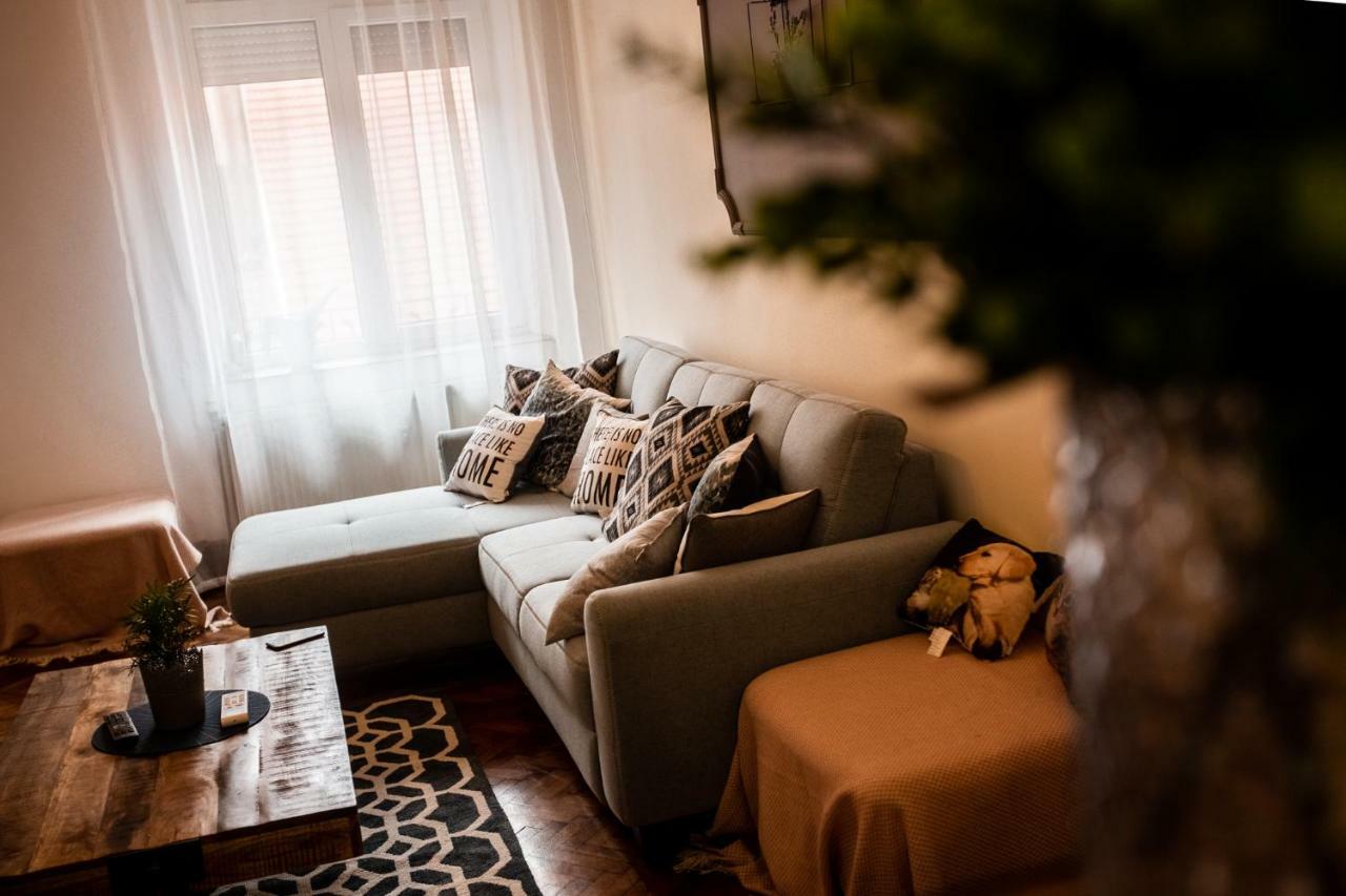 Art Downtown Alecsandri St Luxury Apartment Oradea Exterior foto